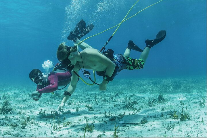 Join our experienced instructors for a captivating hookah diving experience – no previous training required!